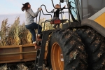 donald trump, covid-19, trump sanctions 19 billion for the aid of farmers hit by pandemic, Relief package