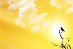 longest day of the year in the UAE, National Centre of Meteorology and Seismology, friday is the longest day of the year, Dubai news