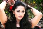 Bhaagamathi  new movie, Bhaagamathi latest news, anushka s fourth periodic drama, Rudhramadevi