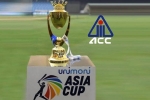 PCB, PCB, asia cup is canceled bcci president saurav ganguly, Asia cup 2020