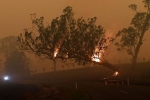 forest land, Australia, australia fires warnings of huge blazes ahead despite raining, Global warming