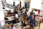 Bangladesh Dengue, Bangladesh Dengue, bangladesh dengue outbreak death toll crosses 1000, Kung
