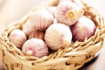 Chinese garlic updates, Chinese garlic problems, how to identify banned chinese garlic in the indian market, Pesticides