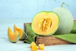 Muskmelon Seeds study benefits, Muskmelon Seeds season, health benefits of muskmelon seeds, Cakes