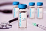 Covaxin, COVID-19, bharat biotech to begin phase 3 trials of covaxin in up from october, Covaxin