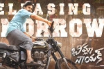 Bheemla Nayak updates, Thaman, bheemla nayak fever all over, Telangana government