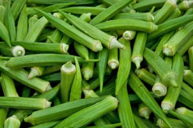 How Bhindi or Ladyfinger Can Lower Blood Sugar in Diabetics