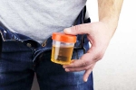Hidden Kidney Cancer Risks latest, Hidden Kidney Cancer Risks tips, spotting blood in urine can reveal hidden kidney cancer risks, Bengaluru