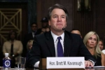 Kavanaugh, Brett Kavanaugh sexual assault, brett kavanaugh s beer obsession trends on twitter, Novelist
