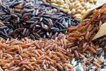 Brown Rice Vs Black Rice: Which one is Healthier?
