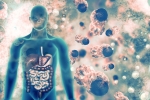 pulmonary manifestations, coronavirus, covid 19 can affect almost all organs experts at aiims, Thrombosis