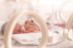 babies, Indian origin researchers, caffeine therapy can boost brain development in preemies study, Womb transplant
