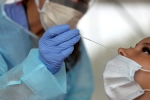 Study about quick COVID Testing, Frequent and rapid COVID-19 testing, study says quick testing can erase covid 19 within weeks, Harvard university