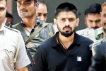 Lawrence Bishnoi gang in Canada, Lawrence Bishnoi gang list, canada police s big claims on lawrence bishnoi gang, Canadian diplomat