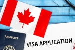 Canada's study visa approvals for students of India, Canada's study visa approvals decline, canada s study visa approvals for indian students to drop by 50 in 2024, New study
