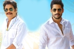 Nagarjuna, Bangarraju, ten days worldwide collections of bangarraju, Kalyan krishna Nagarjuna, Bangarraju, ten days worldwide collections of bangarraju, Kalyan krishna