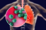 proteins, ACE2 and TNPRSS2, new studies explain how the coronavirus enters our body, Cornea