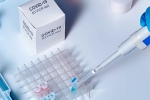 coronavirus, coronavirus, studies find the incidence of covid 19 reinfection is low, Monkeys