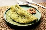 Curry Leaves Dosa preparation, Curry Leaves Dosa latest, recipe curry leaves dosa, Curry leaves dosa