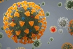 Delta plus Coronavirus, Coronavirus, all you need to know about the new delta plus variant of coronavirus, Csir