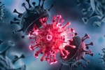 USA Coronavirus rise, Coronavirus, delta variant makes usa tensed again, Usa coronavirus new