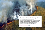 Amazon rainforest fires, amazon rainforest climate, in pictures devastating fires in amazon rainforest visible from space, Npt