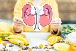 Healthy Kidneys foods, Healthy Kidneys foods, food items to include in your diet for healthy kidneys, Ioc