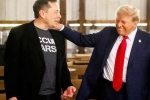 Donald Trump statements, Donald Trump promise, donald trump s praise for musk s starlink, Satellites