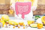 Better Gut Health drinks, Better Gut Health breaking, quick and easy drinks for better gut health, Vinegar