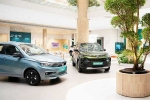 SUV car sales September 2024, Car Sales September 2024 breaking, electric car and suv sales reach lowest in september 2024, Mg windsor
