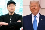 Elon Musk Vs Donald Trump, Elon Musk, elon musk s latest attack on donald trump, 26 11 attack