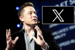 X subscription breaking news, X subscription latest, elon musk announces that x would be paid for everyone, Revenue