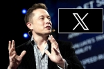 X subscription latest, X subscription paid, elon musk announces that x would be paid for everyone, Social networking
