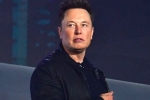 Elon Musk new update, Elon Musk updates, elon musk talks about cage fight again, Domino s
