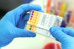 technology, genome, everything about feluda a low cost covid 19 test in india, Csir