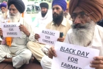 wholesale markets, wholesale markets, why farmers and politicians are against modi s farm laws, State governments