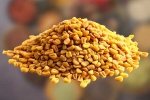 Fenugreek Seeds new, Fenugreek Seeds news, advantages of fenugreek seeds in hair growth, Fenugreek seeds