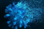 Sweden, Gene Variant Coronavirus news, researchers identify gene variant that protects against coronavirus, Boston