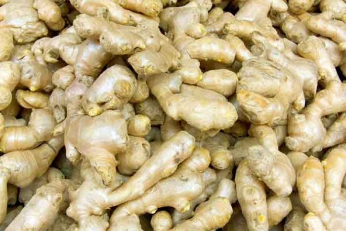 How can Ginger Help in Lung Health?