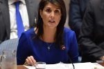 Indian American, Indian, nikki haley great advocate of india u s relationship indian americans, Indiaspora