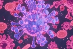 HMPV Virus case records, HMPV Virus case small baby, first hmpv virus case detected in india s bengaluru, Respiratory disease