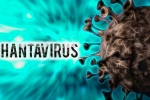 Hantavirus updates, Hantavirus updates, hantavirus has 38 strains and 1 spread to humans, Parliament