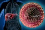 Hepatitis C, Hepatitis C, good news india may soon get treatment for hepatitis c, Lower breast cancer risk