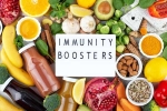 Immunity Tips science backed, Immunity Tips for humans, interesting science backed tips to feel your best, Harvard university