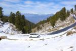 Shimla, destinations, ideal winter destinations in india, Paragliding
