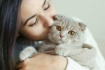 cats pets, cats pets, international cat day reasons why being a cat owner is good for health, Positive emotions