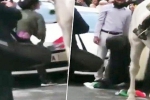 journalist, journalist saving Indian flag, watch journalist jumps into violent protest to save indian tricolor, Poonam
