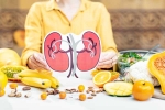 Kidneys Health experts, Kidneys Health experts, how to keep your kidneys healthy, Pasta