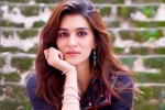 Chandigarh, Entertainment, kriti sanon tested positive for covid 19, Actress kriti sanon