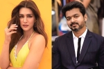 Kriti Sanon, Vamshi Paidipally, kriti sanon to romance vijay in his next, Kadi